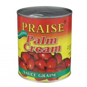 praise-palm-cream-tarbes